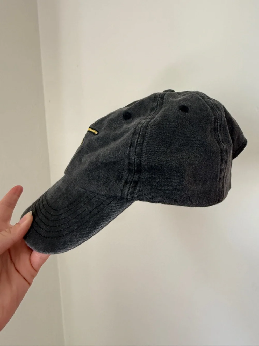 Taylor Swift Speak Now Taylor’s Version Dad Hat Grey